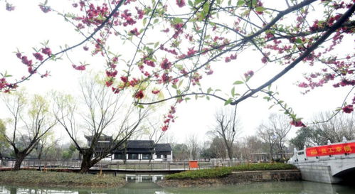 新东园下月免费开放,苏州古城区最大城市公园